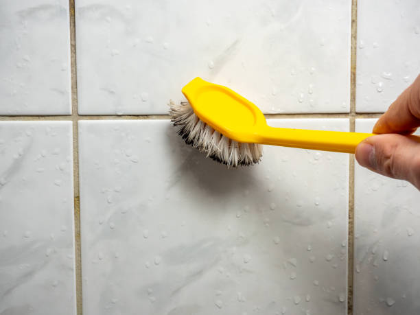 Reliable Buttonwillow, CA Mold Remediation Solutions